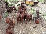 05ein besuch bei den himba.jpg